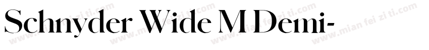 Schnyder Wide M Demi字体转换